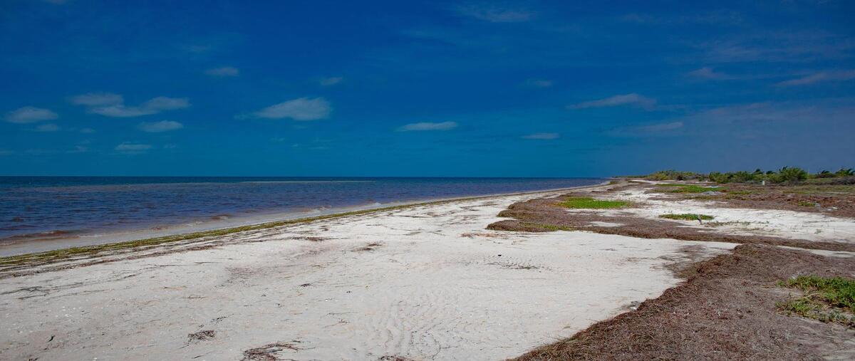 Foto de terreno habitacional en santa clara frente al mar , santa clara, dzidzantún, yucatán, 0 foto 03 Foto de terreno habitacional en venta en santa clara frente al mar , santa clara, dzidzantún, yucatán, 0 No. 03
