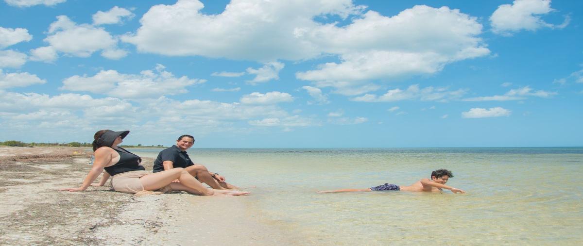 Foto de terreno habitacional en santa clara , santa clara, dzidzantún, yucatán, 0 foto 01 Foto de terreno habitacional en venta en santa clara , santa clara, dzidzantún, yucatán, 0 No. 01