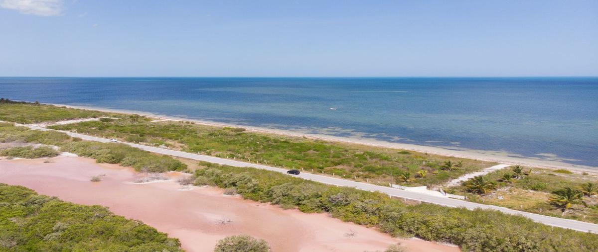 Foto de terreno habitacional en venta en santa clara , santa clara, dzidzantún, yucatán, 0 No. 05