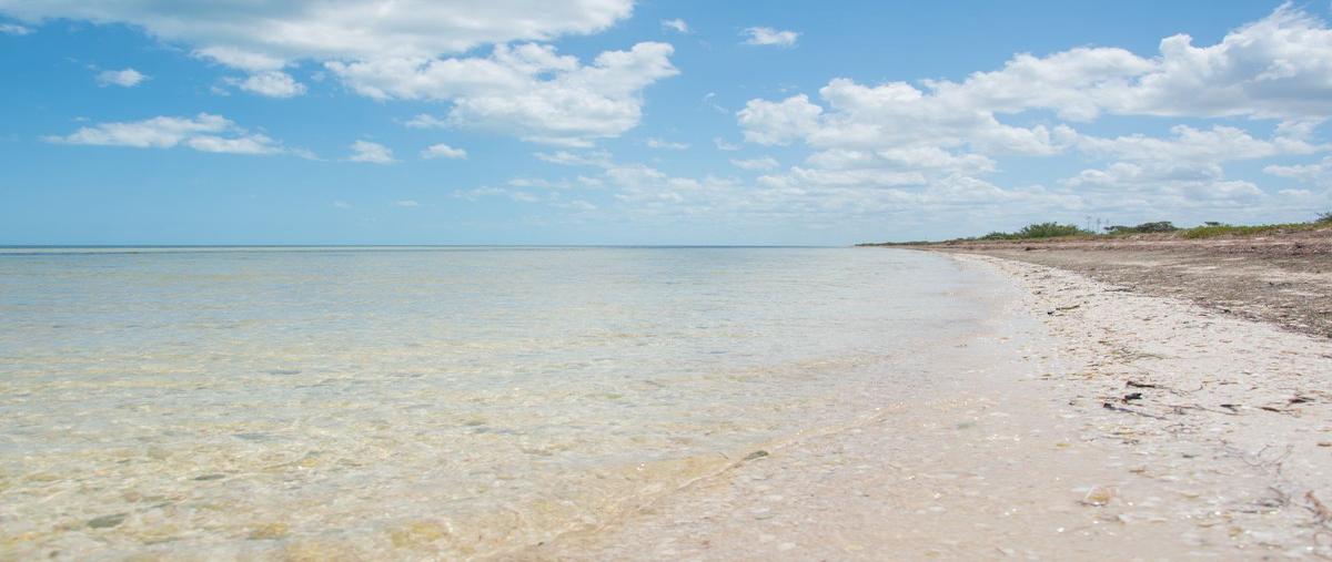 Foto de terreno habitacional en venta en santa clara , santa clara, dzidzantún, yucatán, 0 No. 04