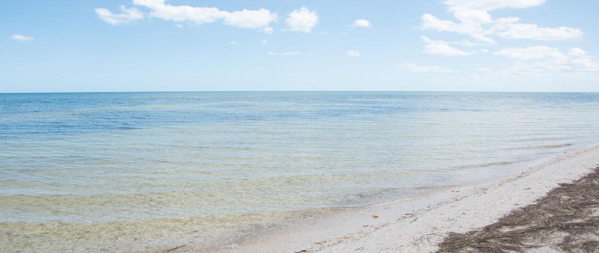 Foto de terreno habitacional en venta en santa clara , santa clara, dzidzantún, yucatán, 0 No. 05