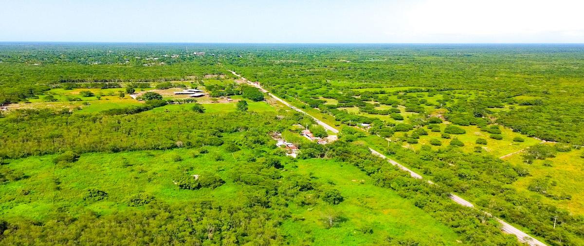 Foto de terreno habitacional en venta en santa clara , santa clara, dzidzantún, yucatán, 0 No. 04