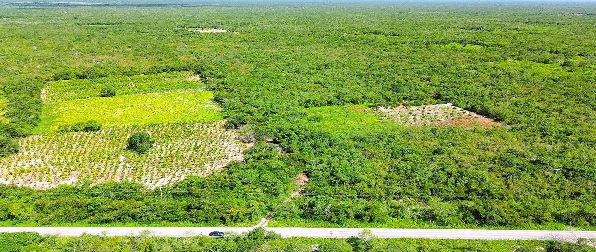 Foto de terreno habitacional en venta en santa clara , santa clara, dzidzantún, yucatán, 30791723 No. 04