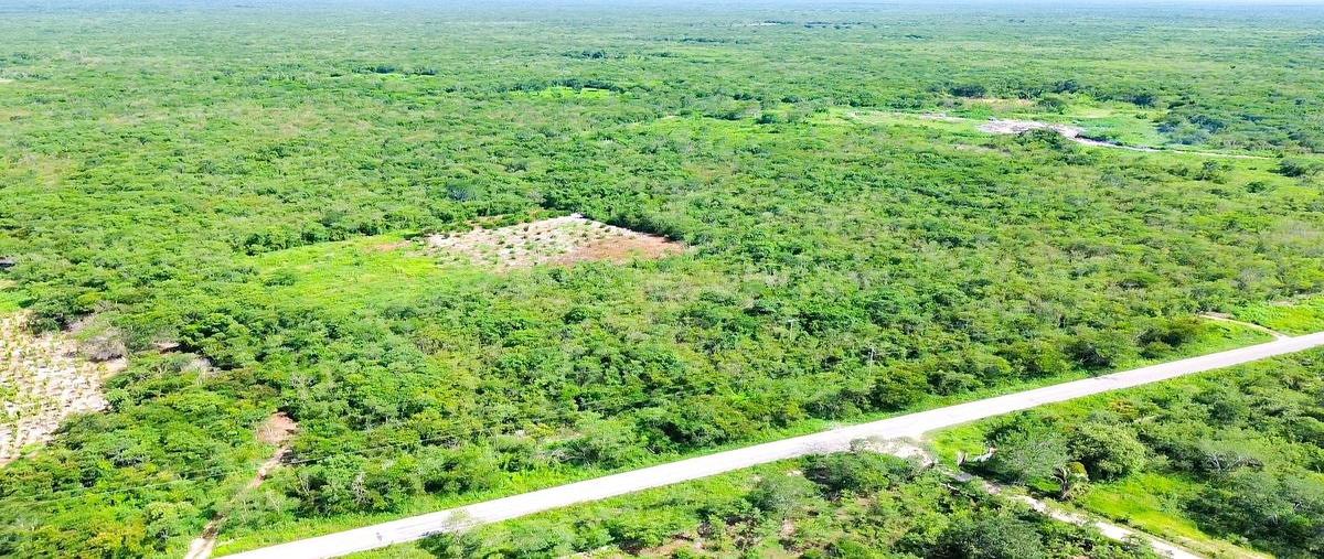 Foto de terreno habitacional en venta en santa clara , santa clara, dzidzantún, yucatán, 30791723 No. 05
