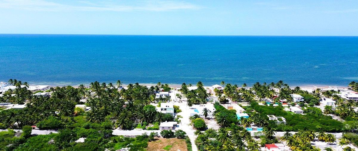 Foto de terreno habitacional en venta en santa clara , santa clara, dzidzantún, yucatán, 31083271 No. 03