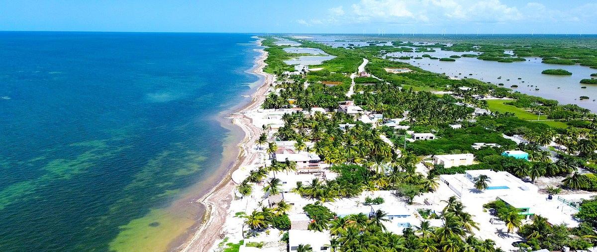 Foto de terreno habitacional en venta en santa clara , santa clara, dzidzantún, yucatán, 31083271 No. 04