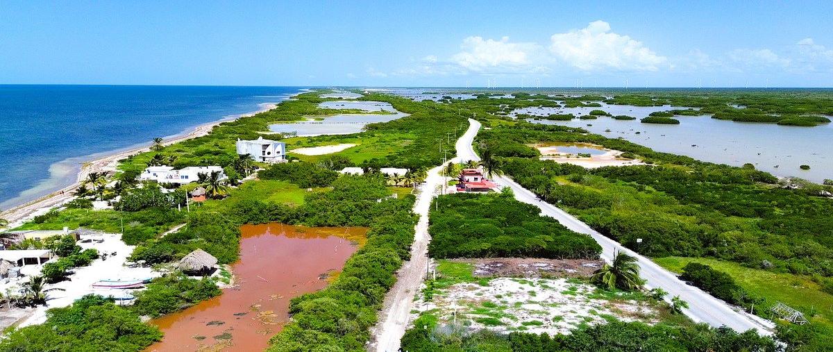 Foto de terreno habitacional en venta en santa clara , santa clara, dzidzantún, yucatán, 31083271 No. 05