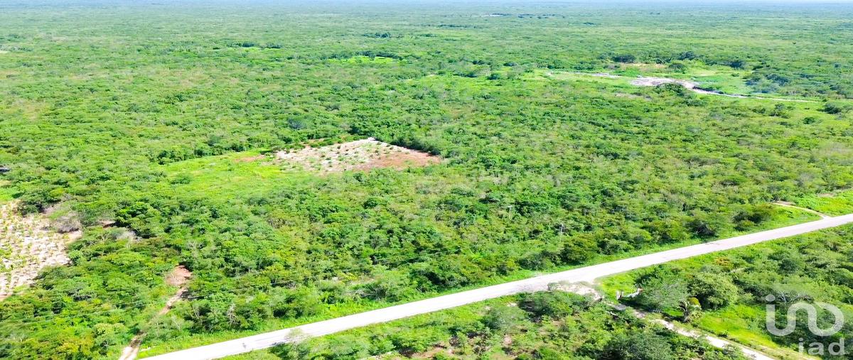 Foto de terreno habitacional en venta en santa clara , santa clara, dzidzantÃºn, yucatÃ¡n, 31571199 No. 03