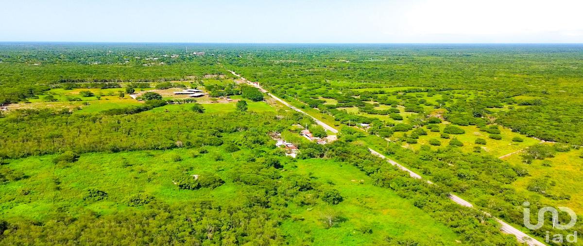Foto de terreno habitacional en venta en santa clara , santa clara, dzidzantÃºn, yucatÃ¡n, 31571199 No. 04