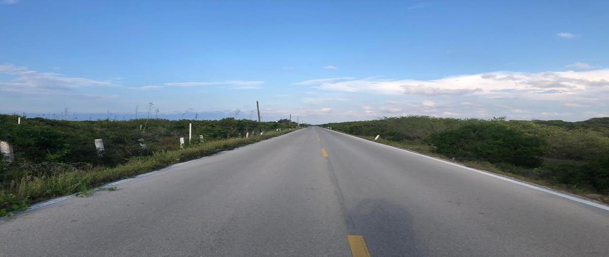 Foto de terreno habitacional en venta en  , santa clara, tizimín, yucatán, 0 No. 04