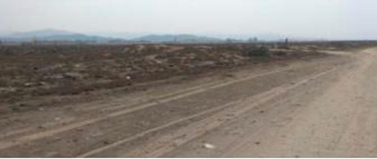 Foto de terreno habitacional en venta en  , santa cruz, acapulco de juárez, guerrero, 0 No. 03