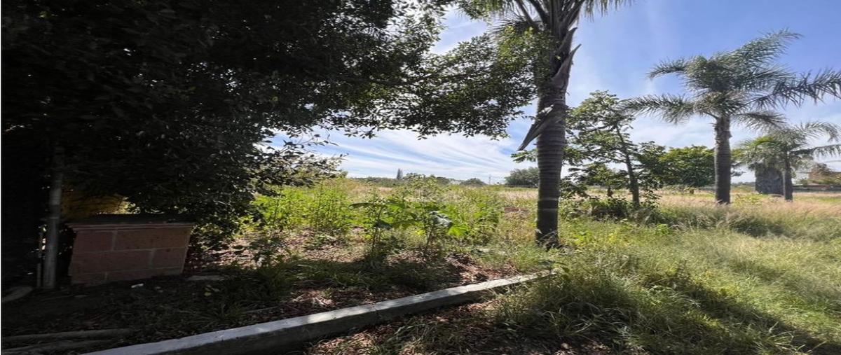 Foto de terreno habitacional en venta en  , santa cruz axocopan, atlixco, puebla, 0 No. 03