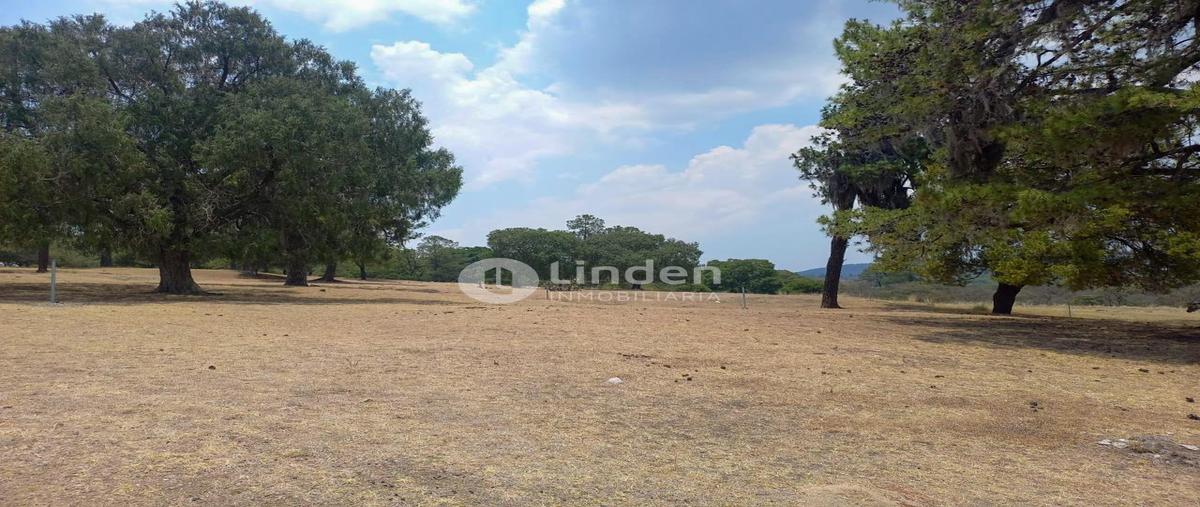 Foto de terreno habitacional en venta en  , santa cruz buenavista, puebla, puebla, 0 No. 03