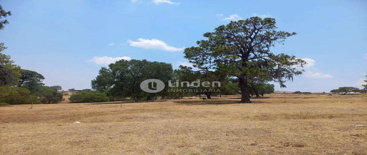 Foto de terreno habitacional en venta en  , santa cruz buenavista, puebla, puebla, 0 No. 04