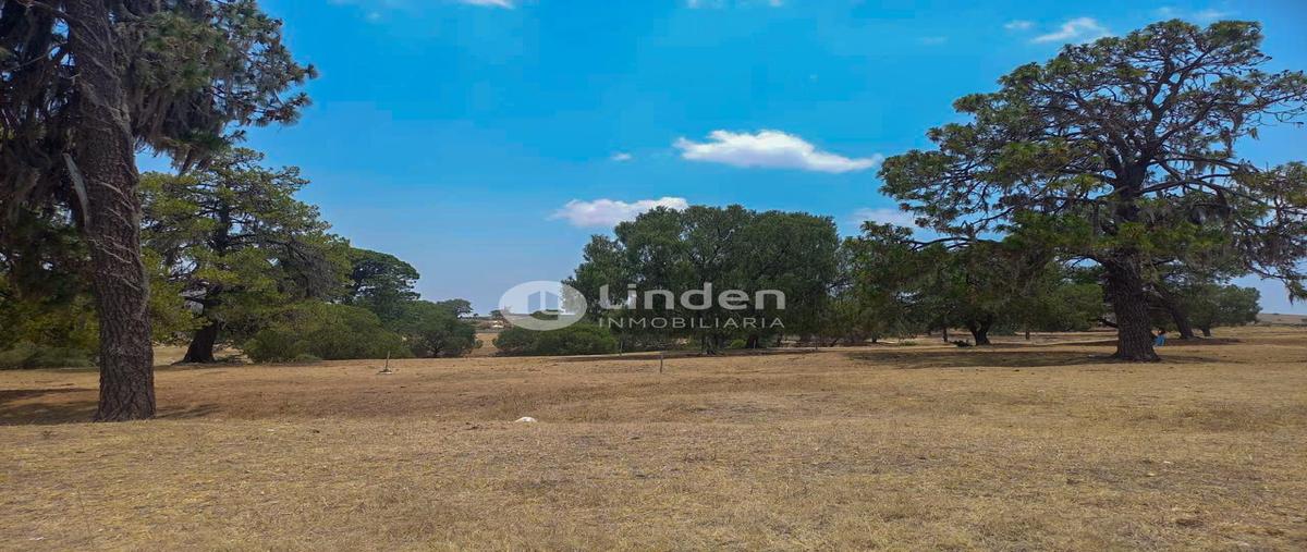 Foto de terreno habitacional en venta en  , santa cruz buenavista, puebla, puebla, 0 No. 05