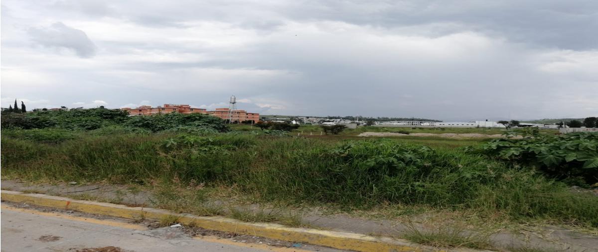 Foto de terreno habitacional en venta en  , santa cruz campo santo, morelia, michoacán de ocampo, 25473821 No. 05