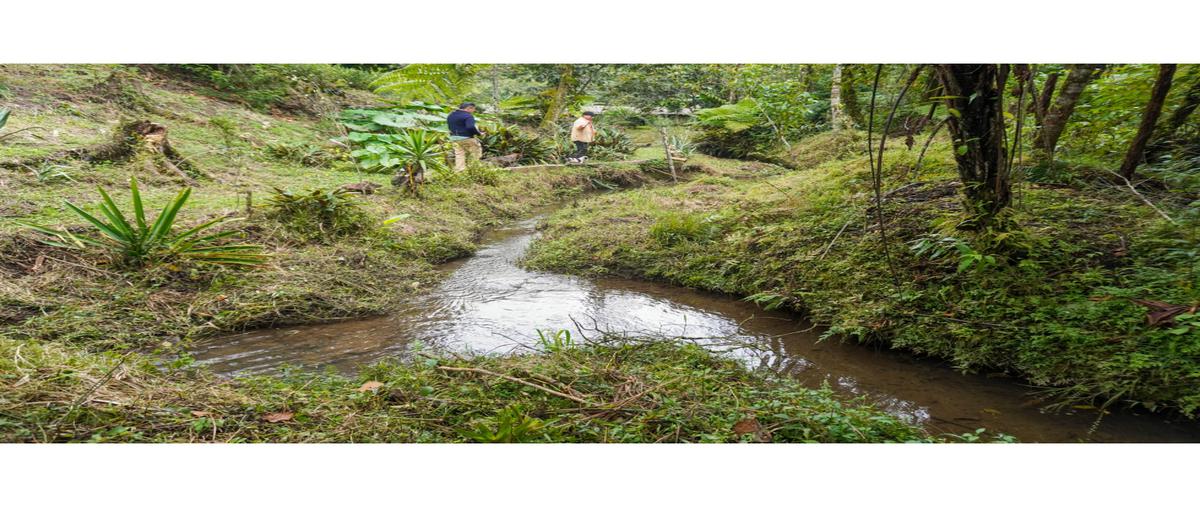 Foto de rancho en , santa cruz chica, xicotepec, puebla, 25945886 foto 01 Foto de rancho en venta en , santa cruz chica, xicotepec, puebla, 25945886 No. 01