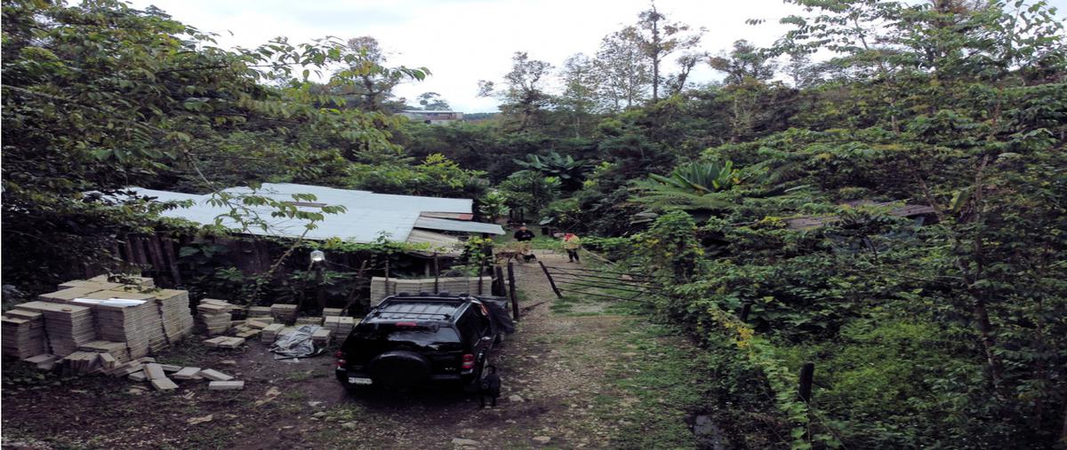 Foto de rancho en , santa cruz chica, xicotepec, puebla, 25945886 foto 02 Foto de rancho en venta en , santa cruz chica, xicotepec, puebla, 25945886 No. 02