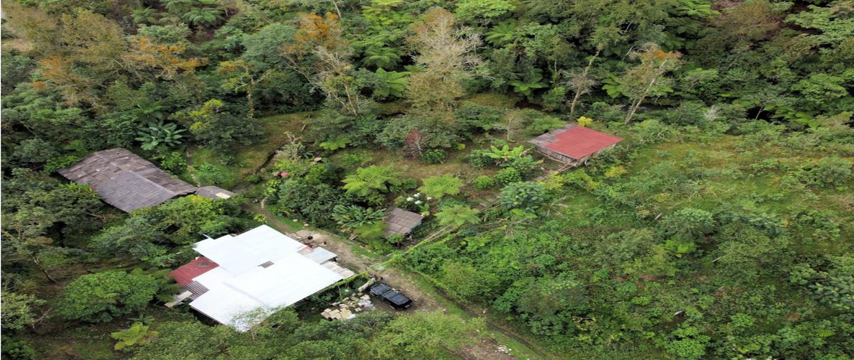 Foto de rancho en , santa cruz chica, xicotepec, puebla, 25945886 foto 04 Foto de rancho en venta en , santa cruz chica, xicotepec, puebla, 25945886 No. 04