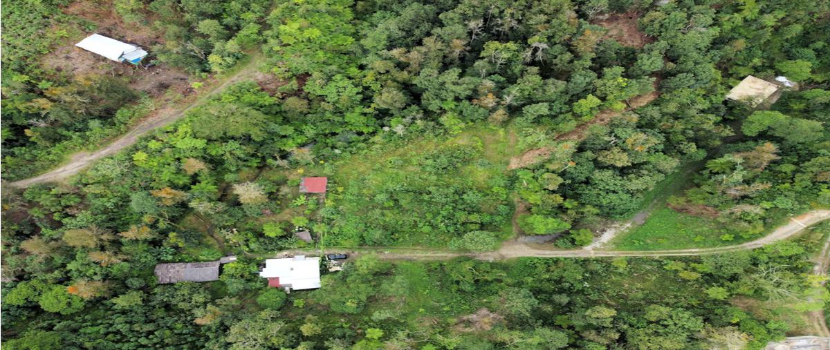 Foto de rancho en , santa cruz chica, xicotepec, puebla, 25945886 foto 05 Foto de rancho en venta en , santa cruz chica, xicotepec, puebla, 25945886 No. 05