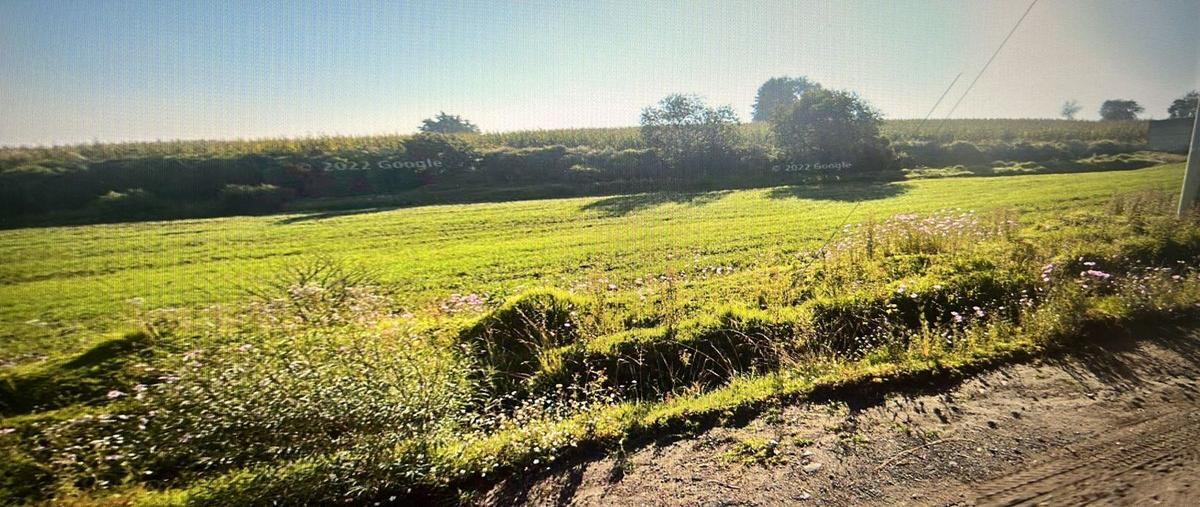 Foto de terreno habitacional en venta en  , santa cruz cuauhtenco, zinacantepec, méxico, 26368672 No. 04