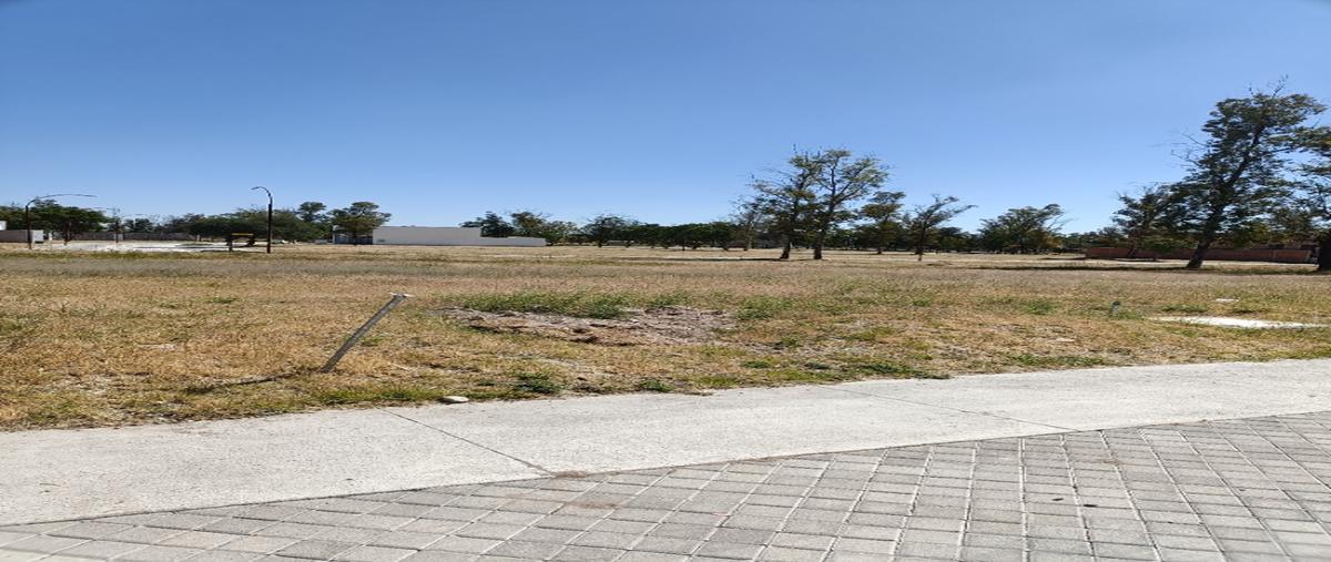 Foto de terreno habitacional en venta en  , santa cruz de la presa, aguascalientes, aguascalientes, 0 No. 04
