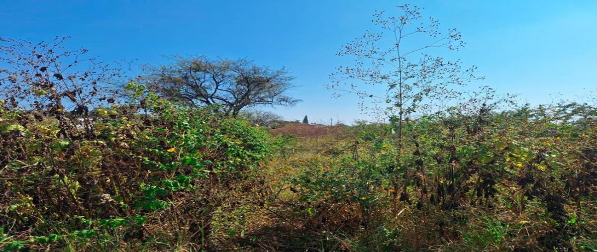 Foto de terreno habitacional en venta en santa cruz de la soledad 333, la tepamera (la calerita), chapala, jalisco, 0 No. 03