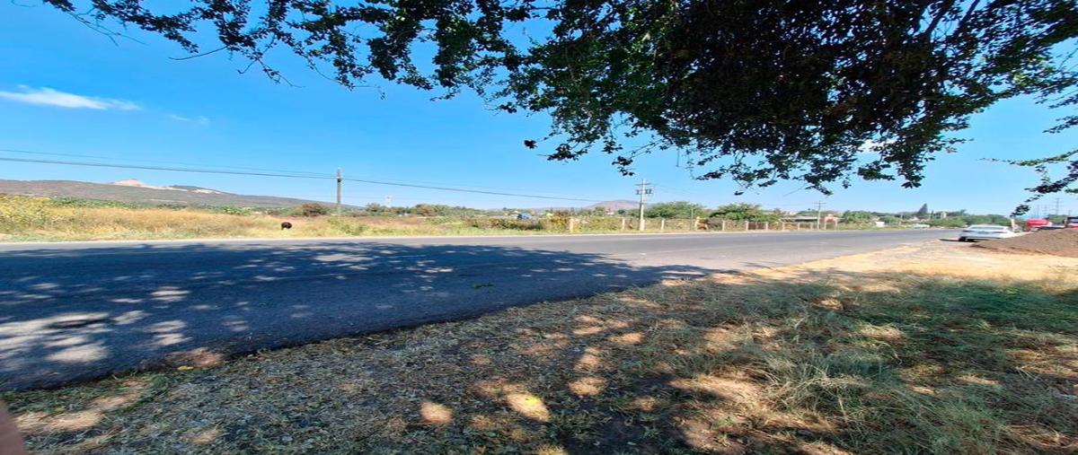 Foto de terreno habitacional en venta en santa cruz de la soledad 333, la tepamera (la calerita), chapala, jalisco, 0 No. 04