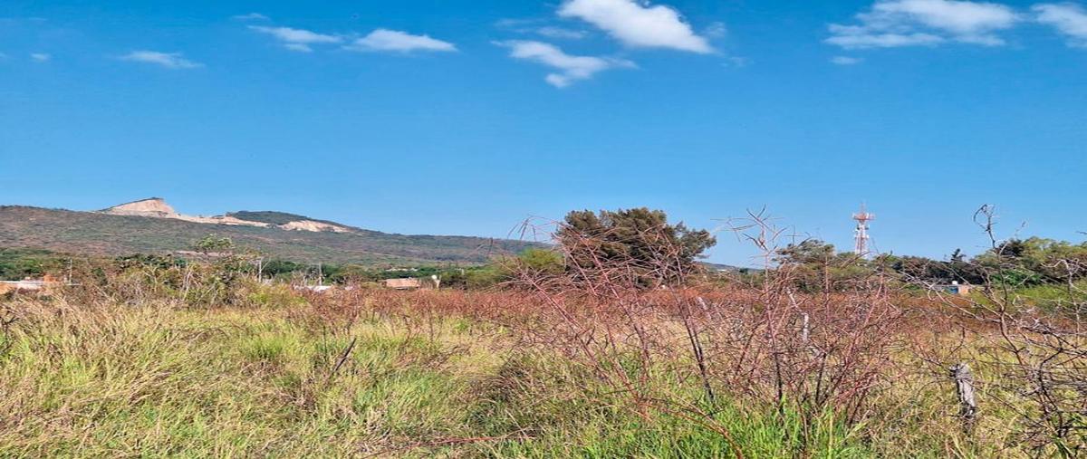 Foto de terreno habitacional en venta en santa cruz de la soledad 333, la tepamera (la calerita), chapala, jalisco, 0 No. 05