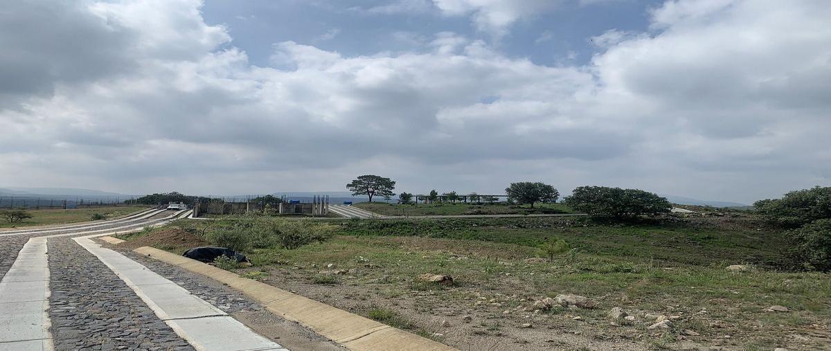 Foto de terreno habitacional en venta en  , santa cruz del astillero, el arenal, jalisco, 0 No. 04