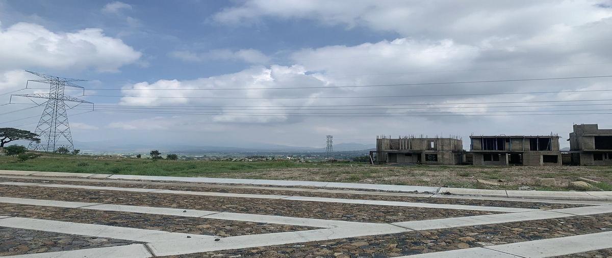 Foto de terreno habitacional en venta en  , santa cruz del astillero, el arenal, jalisco, 0 No. 05