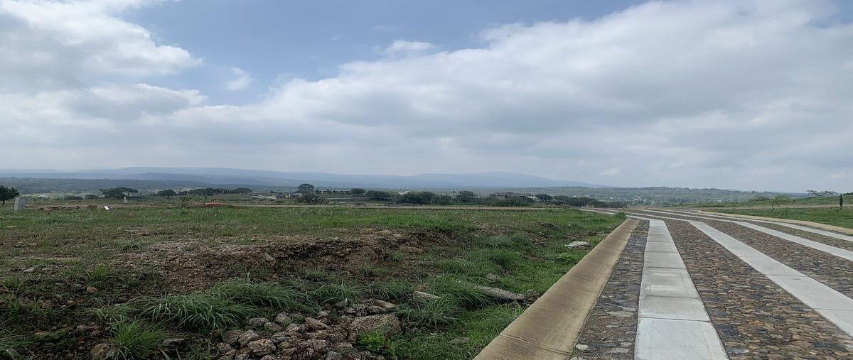 Foto de terreno habitacional en venta en  , santa cruz del astillero, el arenal, jalisco, 0 No. 06