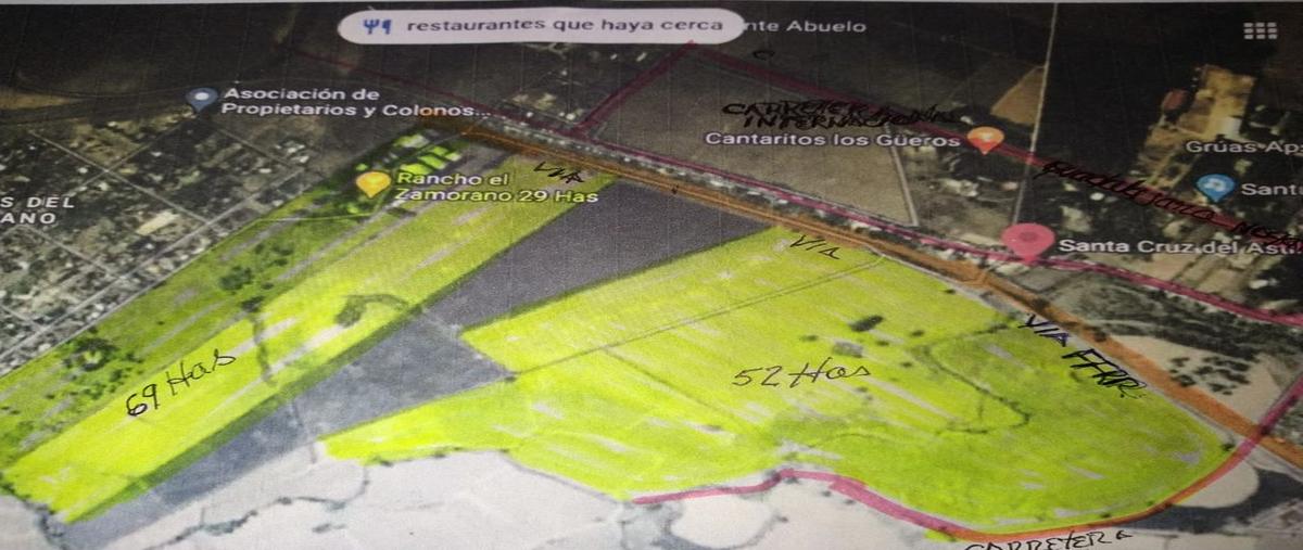Foto de terreno comercial en venta en santa cruz del astillero , santa cruz del astillero, el arenal, jalisco, 0 No. 04