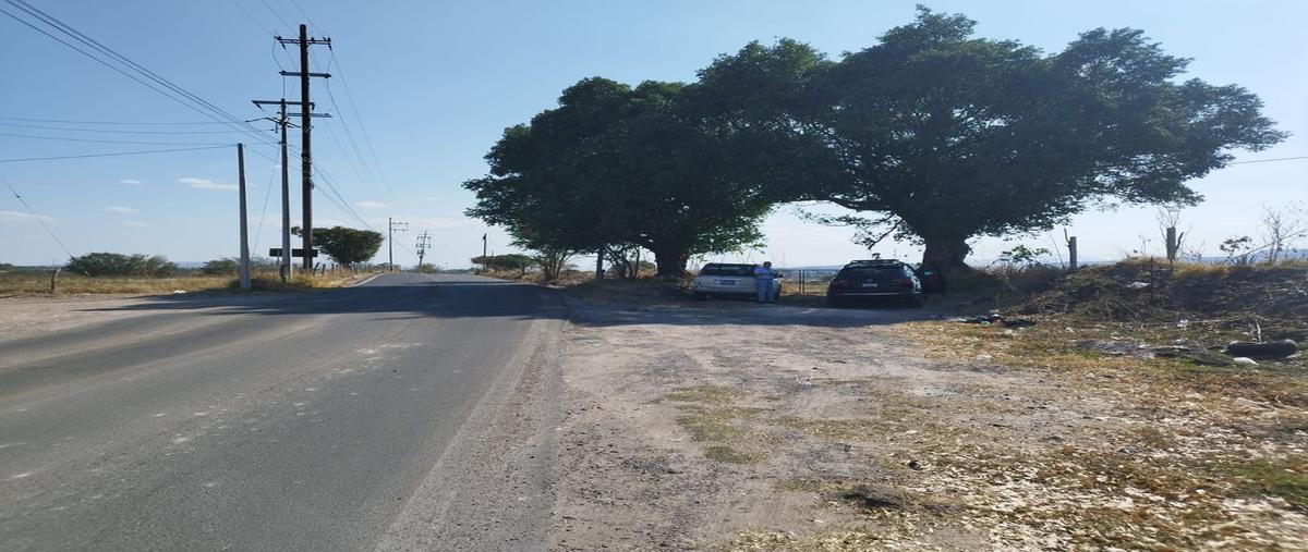 Foto de terreno comercial en venta en santa cruz del astillero , santa cruz del astillero, el arenal, jalisco, 0 No. 05