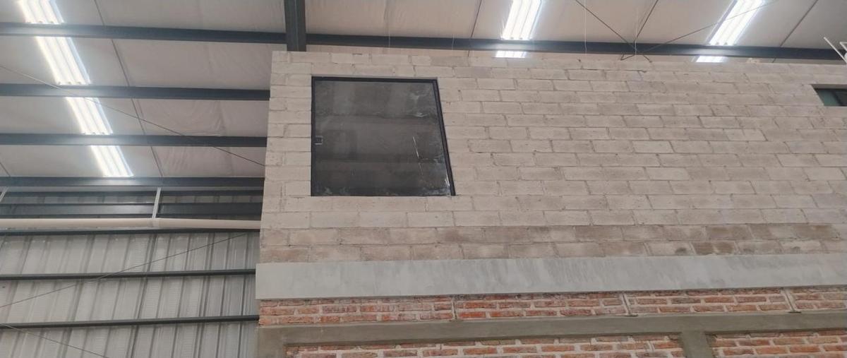 Foto de bodega en renta en santa cruz del valle , parques santa cruz del valle, san pedro tlaquepaque, jalisco, 30473930 No. 05