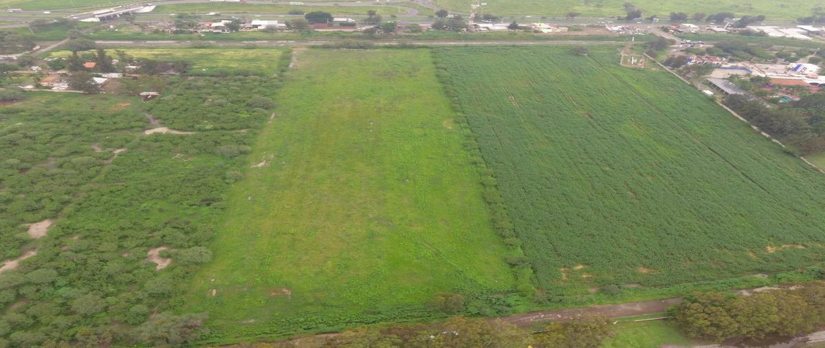 Foto de terreno comercial en venta en  , santa cruz del valle, tlajomulco de zúñiga, jalisco, 26118750 No. 05