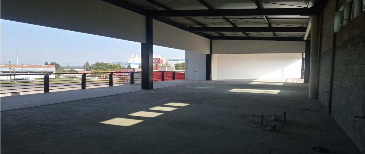 Foto de local en renta en  , santa cruz escandón, san juan del río, querétaro, 0 No. 06