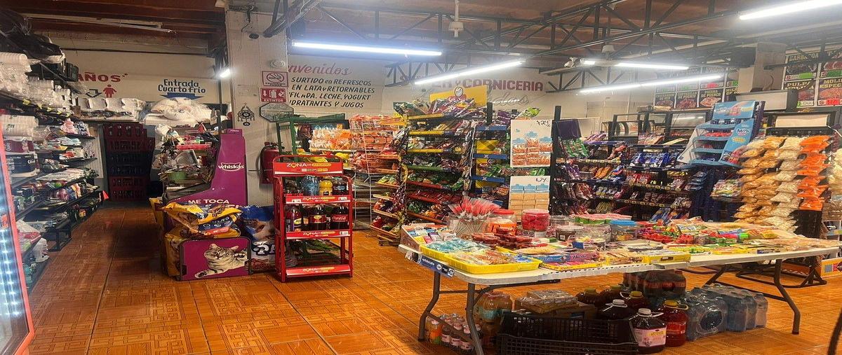 Foto de local en renta en  , santa cruz, guadalupe, nuevo león, 0 No. 03