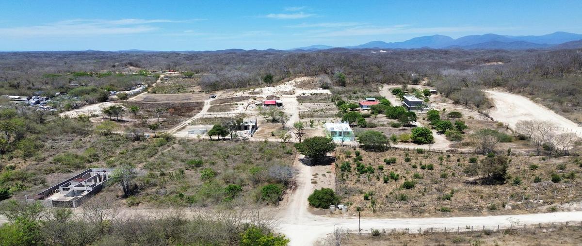 Foto de terreno habitacional en venta en  , santa cruz huatulco, santa maría huatulco, oaxaca, 0 No. 03