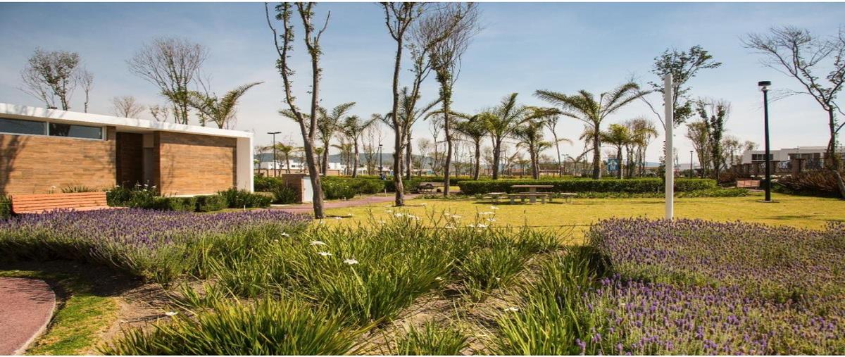 Foto de terreno habitacional en venta en  , santa cruz ixtla sur, puebla, puebla, 0 No. 05