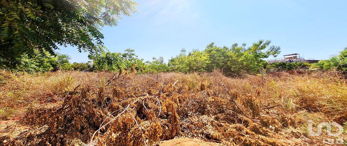 Foto de terreno habitacional en venta en santa cruz , la barra de colotepec, santa maría colotepec, oaxaca, 0 No. 03