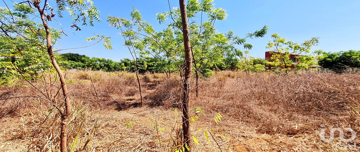 Foto de terreno habitacional en venta en santa cruz , la barra de colotepec, santa maría colotepec, oaxaca, 0 No. 04