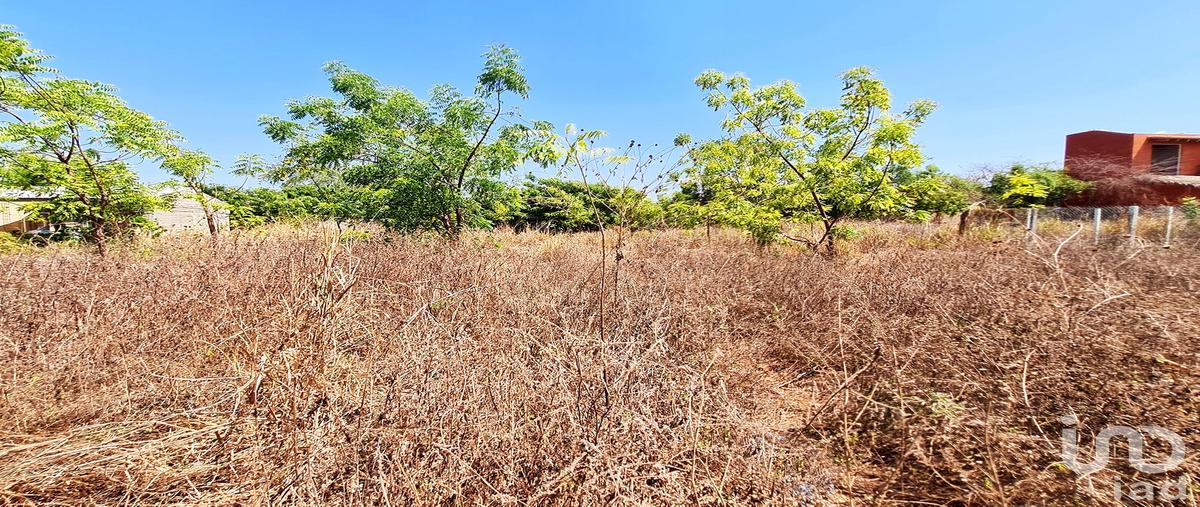 Foto de terreno habitacional en venta en santa cruz , la barra de colotepec, santa maría colotepec, oaxaca, 0 No. 05