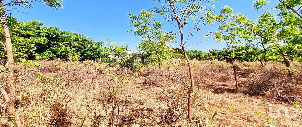 Foto de terreno habitacional en venta en santa cruz , la barra de colotepec, santa maría colotepec, oaxaca, 0 No. 05