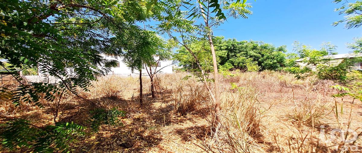 Foto de terreno habitacional en santa cruz , la barra de colotepec, santa maría colotepec, oaxaca, 0 foto 01 Foto de terreno habitacional en venta en santa cruz , la barra de colotepec, santa maría colotepec, oaxaca, 0 No. 01