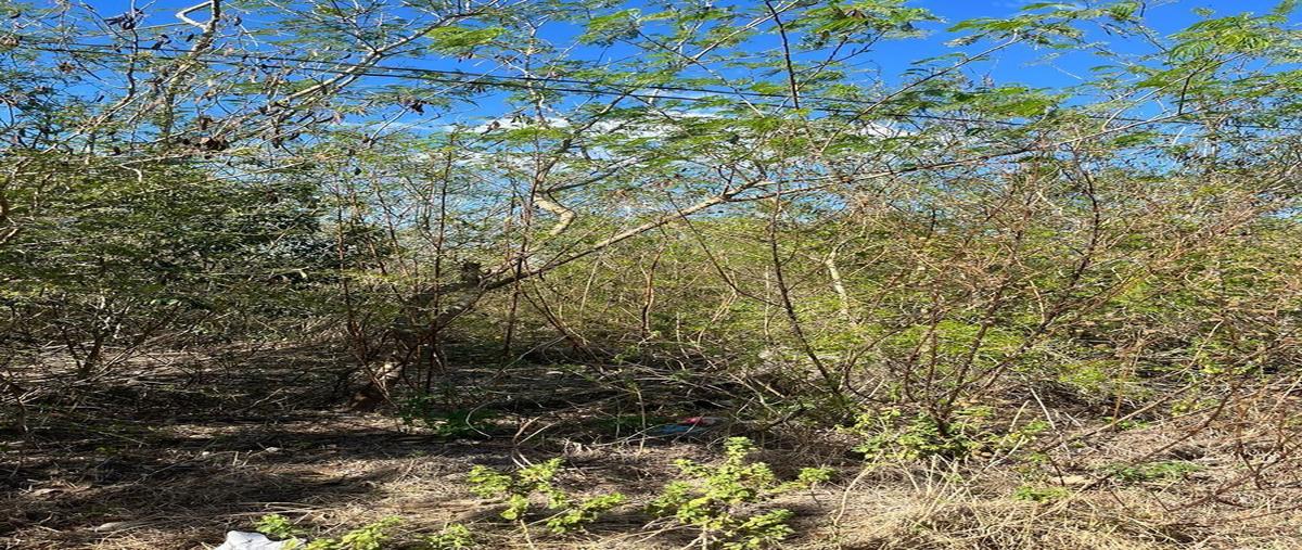 Foto de terreno industrial en , santa cruz, mérida, yucatán, 26139452 foto 02 Foto de terreno industrial en venta en , santa cruz, mérida, yucatán, 26139452 No. 02