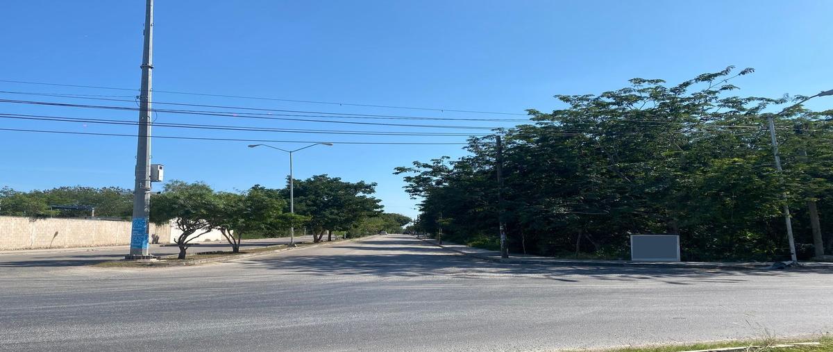 Foto de terreno habitacional en venta en  , santa cruz, mérida, yucatán, 28427033 No. 03