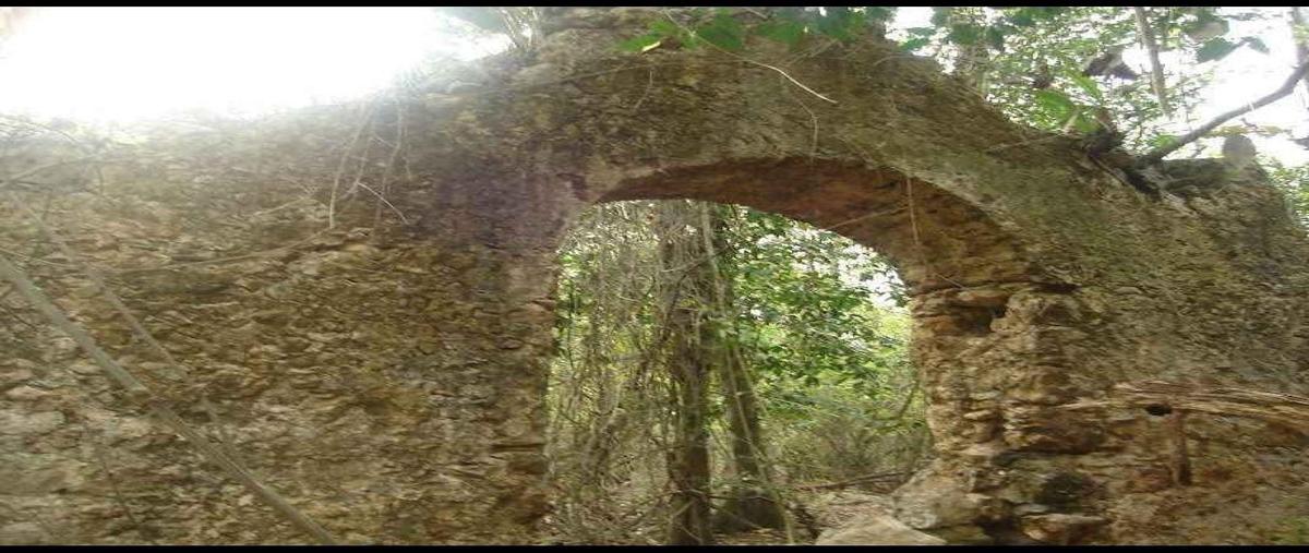 Foto de terreno habitacional en venta en  , santa cruz, mérida, yucatán, 30684707 No. 03