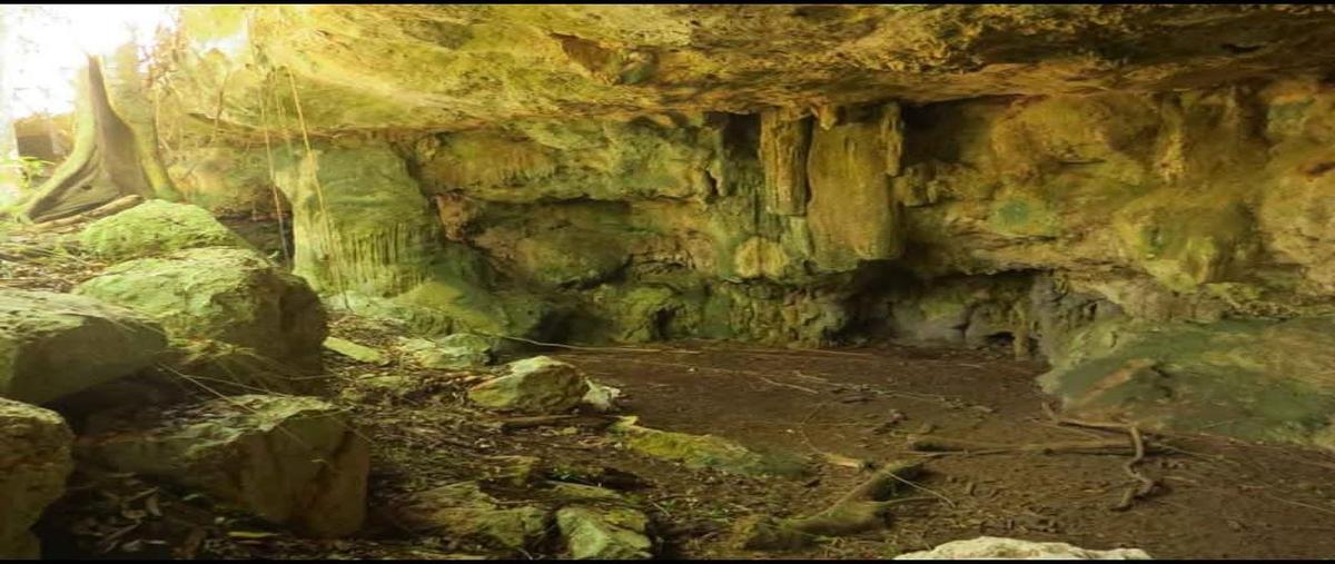 Foto de terreno habitacional en venta en  , santa cruz, mérida, yucatán, 30684707 No. 04