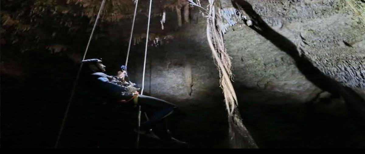 Foto de terreno habitacional en venta en  , santa cruz, mérida, yucatán, 30684707 No. 05